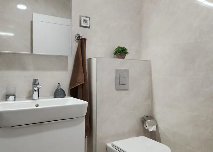 With Garage Apartment Podgorica